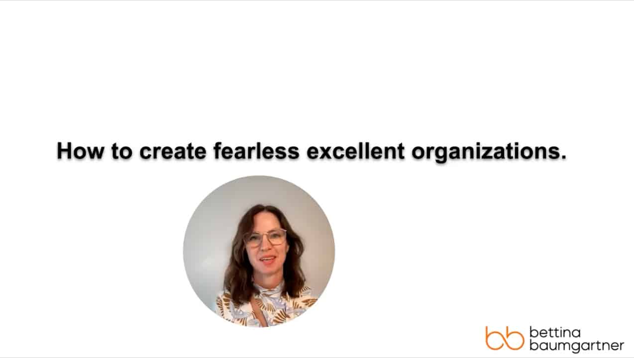 how to create excellent fearless organizations